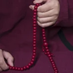 108 Abelia Biflora wood Buddhist prayer mala beads held in hands showing full strand with knotted tassel and deep red finish