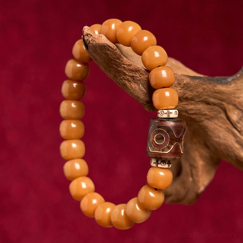 Hand-held Buddhist Bodhi and Dzi bead bracelet displayed on dark red fabric with wooden branch, featuring matte tan beads and carved Dzi bead
