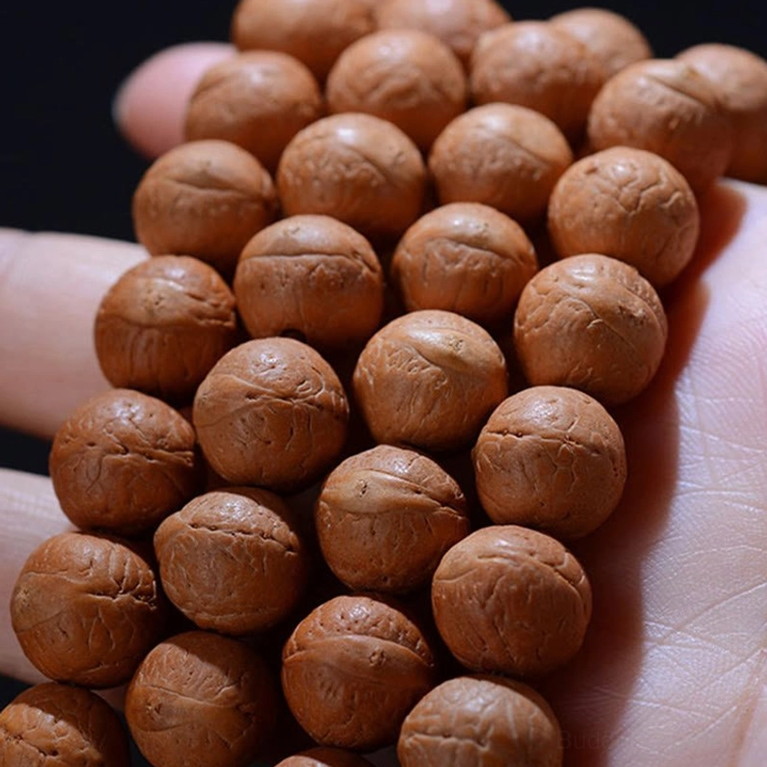 Bodhi prayer beads in hand showing natural eye markings and authentic seed characteristics