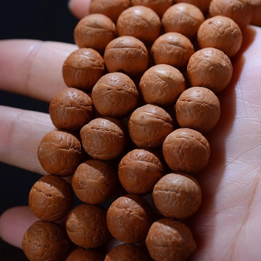 Bodhi seed prayer beads held between fingers, showing distinct natural eye texture and authentic craftsmanship
