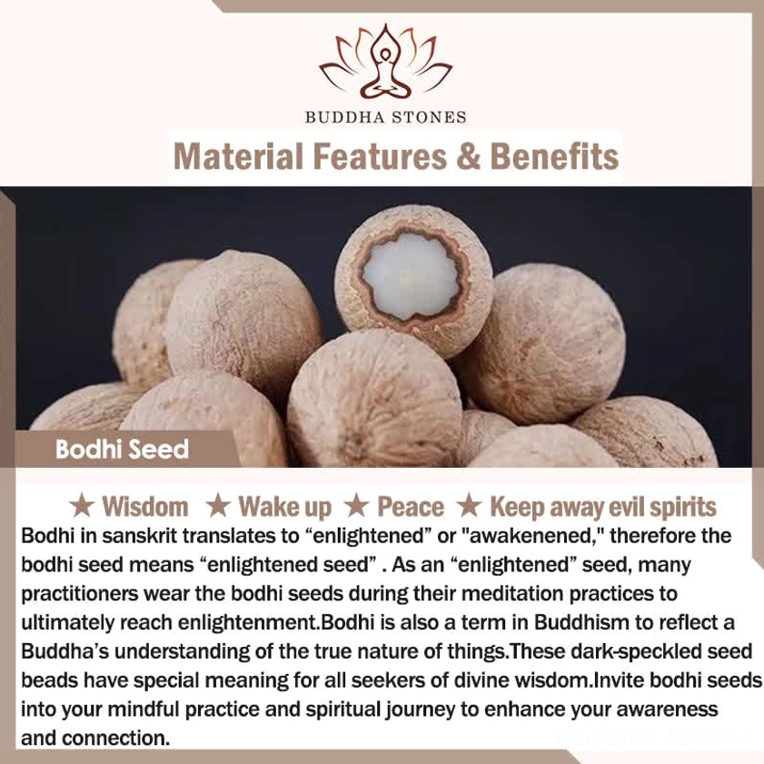 Bodhi seed spiritual benefits and natural material guide poster with raw bodhi nuts and shells