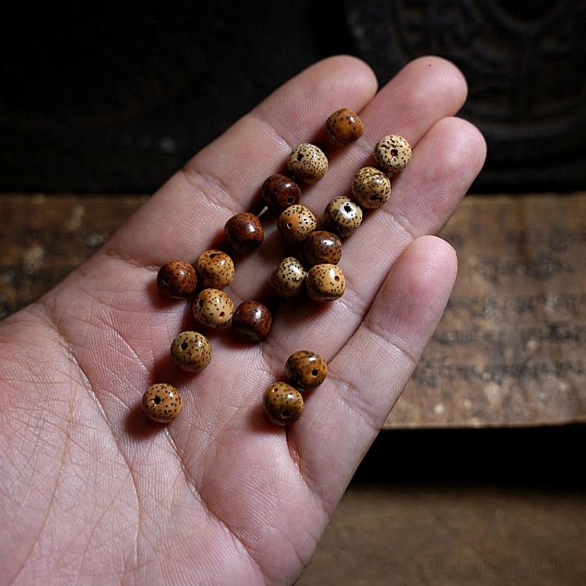 Buddhist prayer bead bracelet combining bodhi seeds striped dzi beads and natural agate for daily spiritual practice