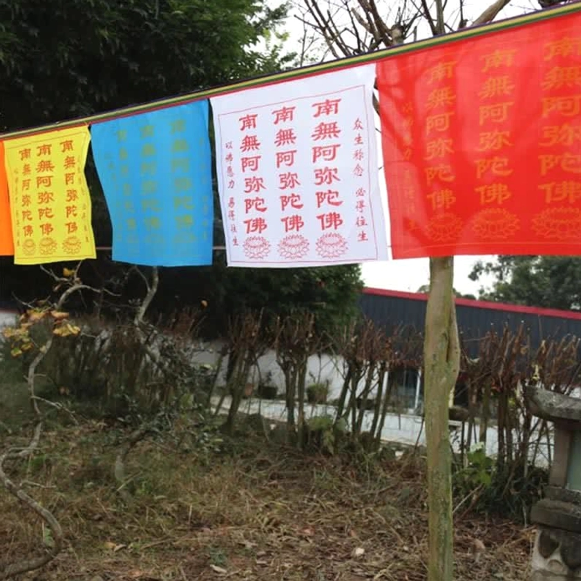 Strung Buddhist prayer flags with 5-color sequence in outdoor garden setting, side view showing full coverage of flags with Chinese sutra text