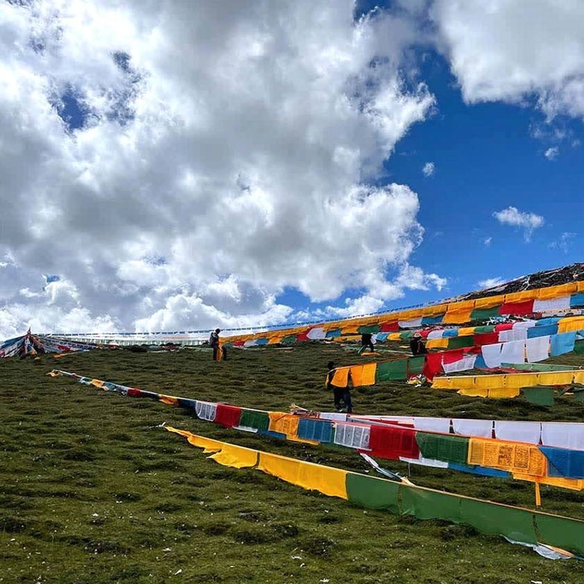 Vibrant multicolor Buddhist prayer flags strung across grassy hillside under cloudy sky