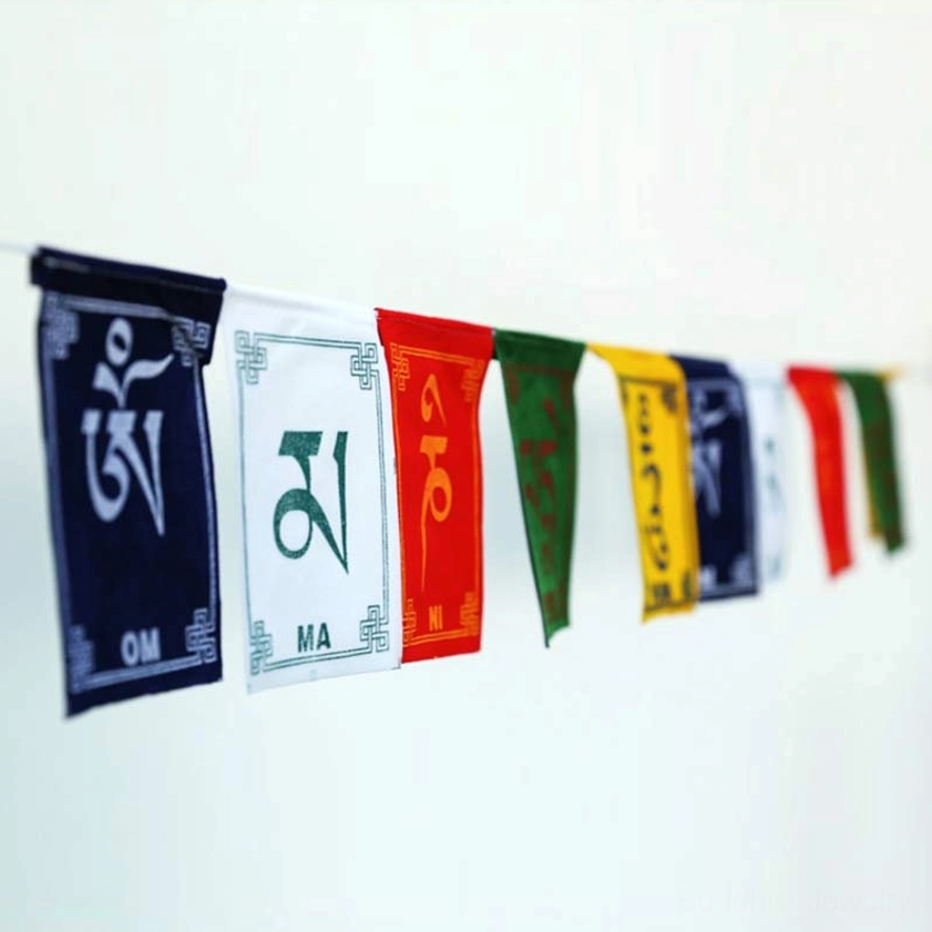 Buddhist prayer flags wall hanging display with complete mantra script and Windhorse symbol indoors