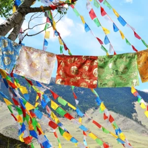 5-color Buddhist prayer flags with windhorse and dragon patterns hanging outdoors with mountains and blue sky background