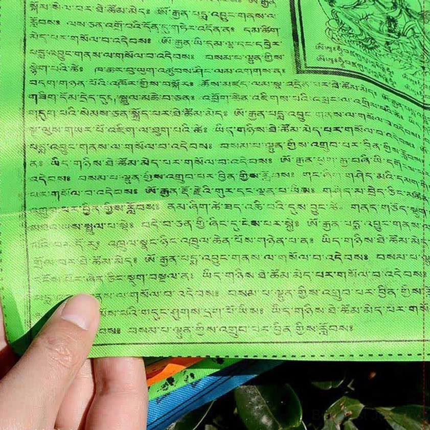 Buddhist prayer flags windhorse lungta symbol speed success manifestation