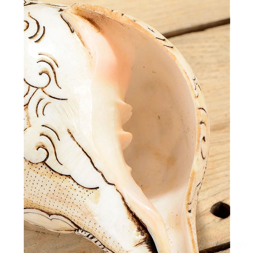 Close-Up Detail of Engraved Buddhist Conch Shell Interior Cavity and Decorative Scroll Patterns