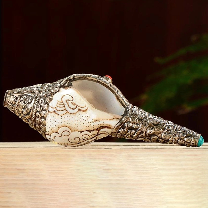 Shankha conch shell side profile showing silver-wrapped tip and decorative inlay
