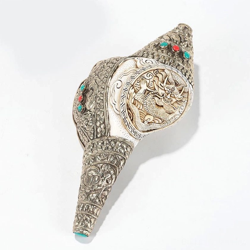 Carved dragon shankha conch shell 26.5cm premium collector's piece combining Buddhist wisdom and dragon power