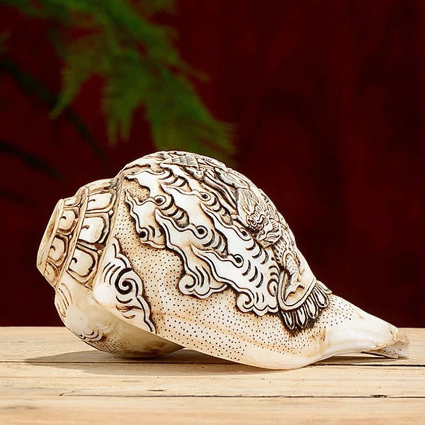 Single Hand-Carved Tibetan Buddhist Conch Shell with Mythical Creature and Cloud Engravings Close-Up