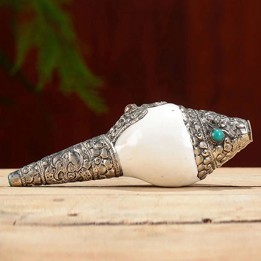 Handcrafted dragon carved shankha conch shell combining protective dragon energy with auspicious Buddhist symbol