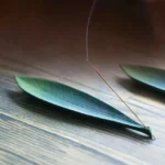 Green Willow Leaf ceramic incense burner with embossed vein details on wooden surface