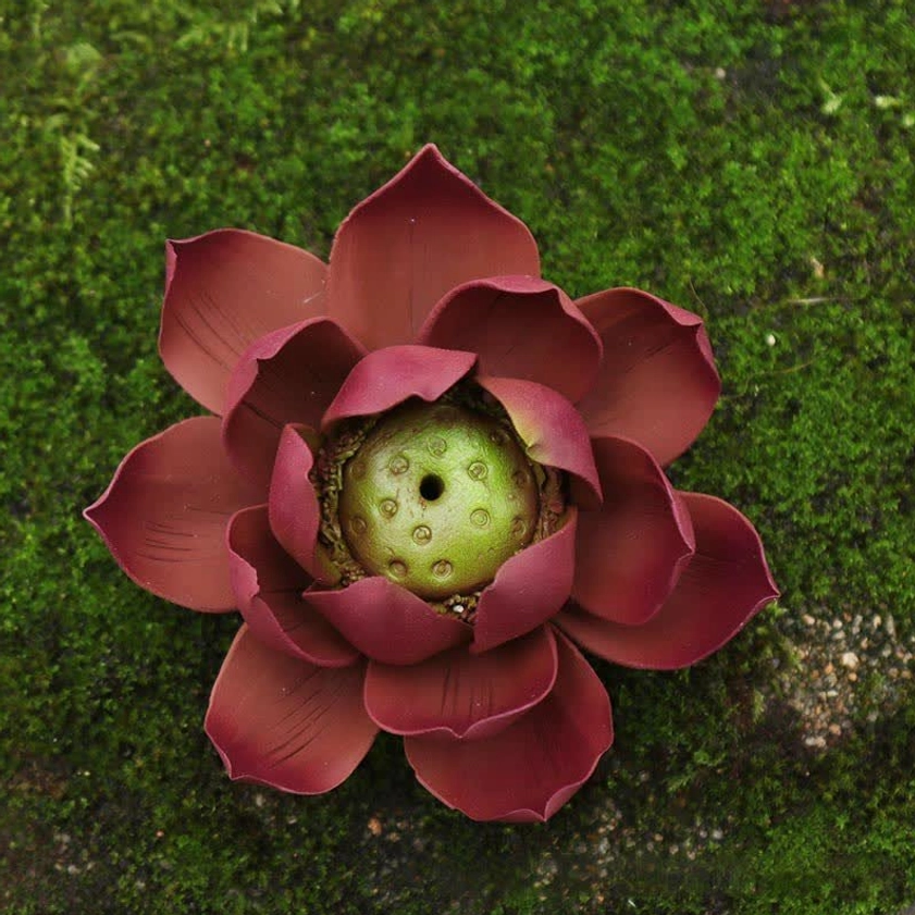 Top-down overhead view of lotus incense burner revealing reddish-brown petal layers and central green seed pod design