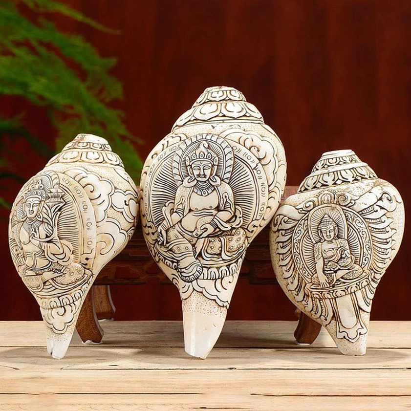 Overhead View of Multiple Carved Buddhist Conch Shells Featuring Unique Deity Engravings and Sacred Patterns