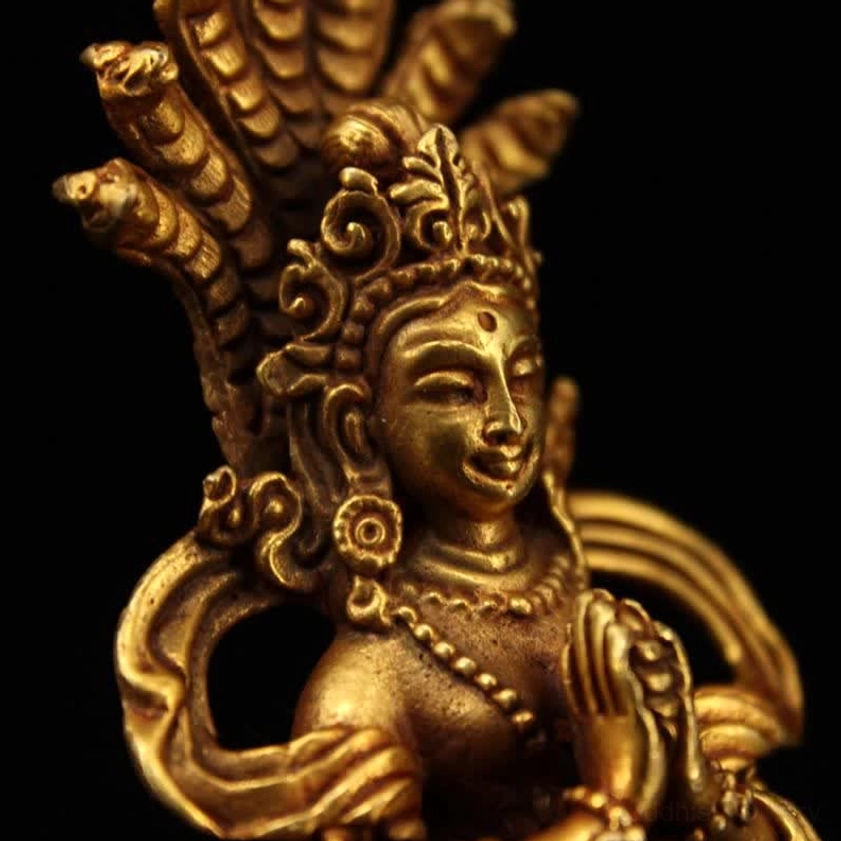 Close-up detail of Nagarjuna statue left front showing serene facial features, beaded necklace and cobra crown