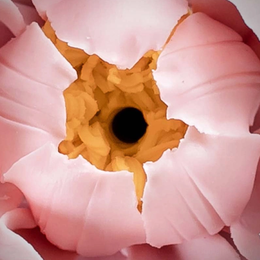 Close-up detail of layered pink peony petals with yellow center and incense hole