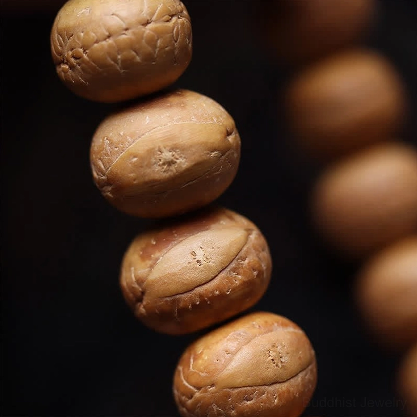 Macro close-up photography of Phoenix Eye Bodhi seeds showing carved eye-shaped patterns and natural tan color