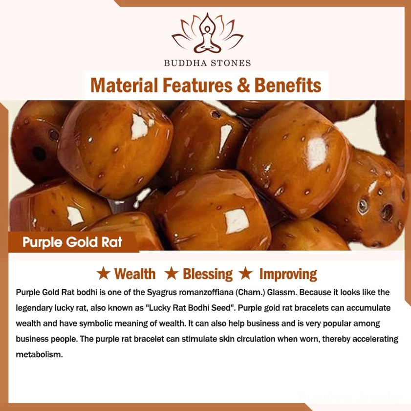 Purple Gold Rat Bodhi material educational guide showing raw seeds and traditional benefit descriptions