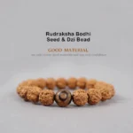 Rudraksha Bodhi Seed and Dzi Bead bracelet flat lay showing textured brown rudraksha seeds with patterned dzi bead accent for spiritual protection