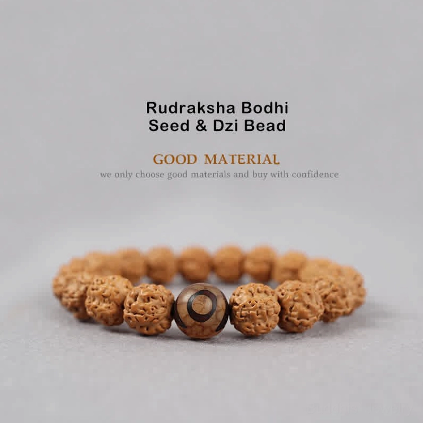 Rudraksha Bodhi Seed and Dzi Bead bracelet flat lay showing textured brown rudraksha seeds with patterned dzi bead accent for spiritual protection