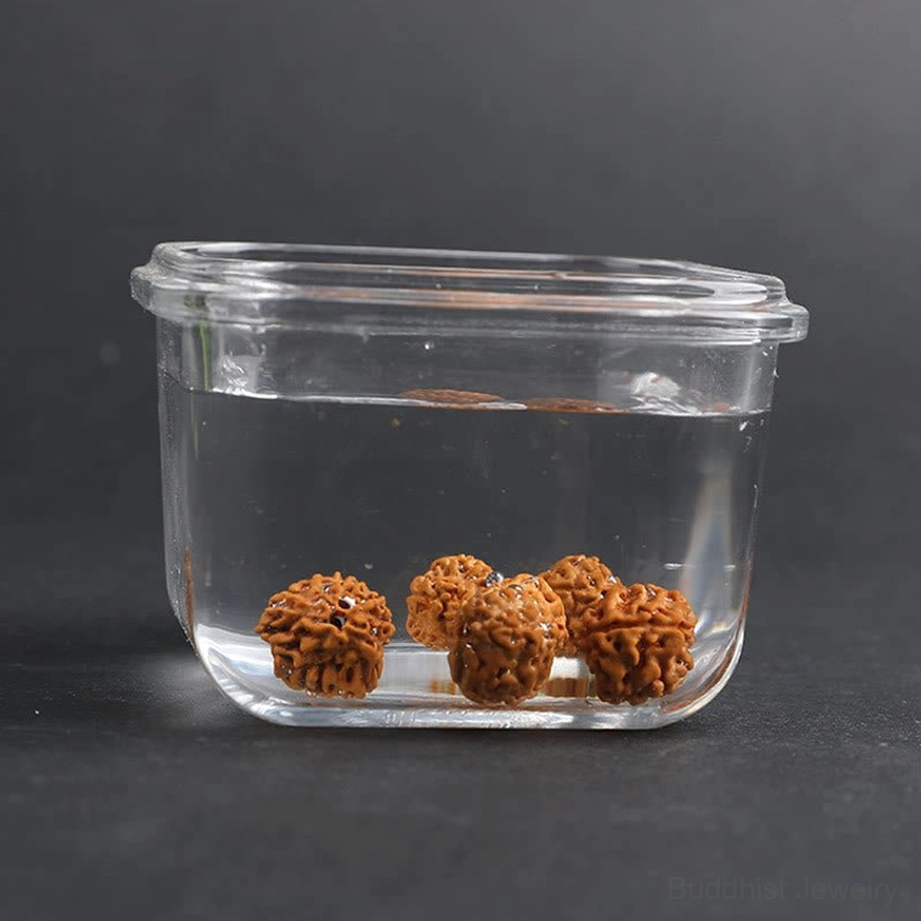 Natural Rudraksha Bodhi Pixiu bracelet feng shui protection abundance attracting wealth