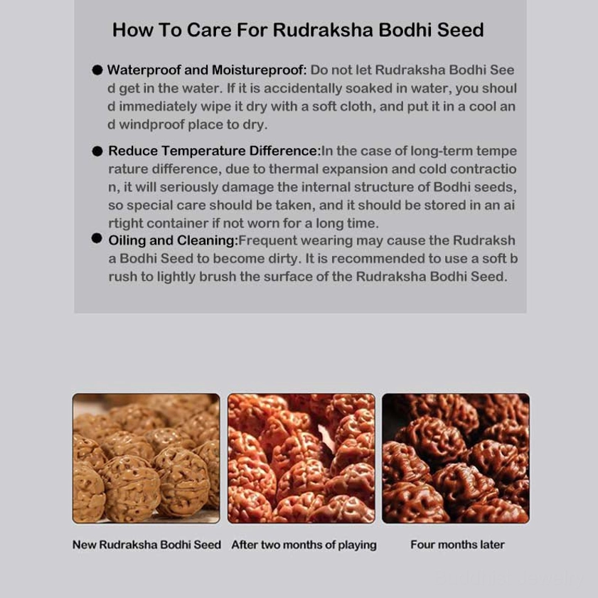 Gift-ready Rudraksha Bodhi Pixiu bracelet Buddhist spiritual protection jewelry unisex