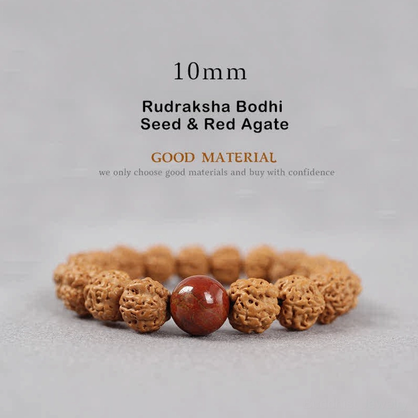 Loose natural Rudraksha Bodhi Seeds showing rough textured brown surfaces and authentic seed characteristics