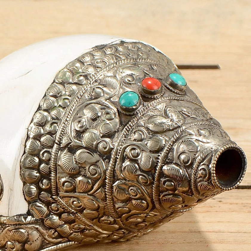 Sacred shankha conch shell symbolizing om mantra sound purification and spiritual transformation