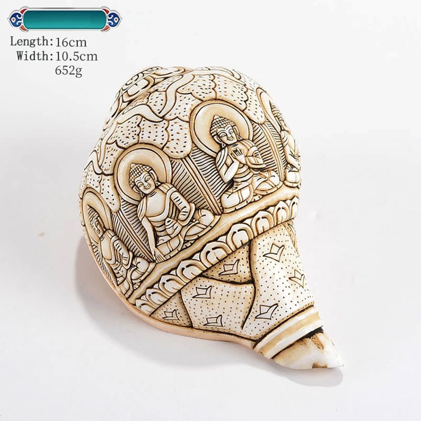 Sakyamuni Buddha Carved Tibetan Buddhist Conch Shell with Enlightenment Deity Imagery