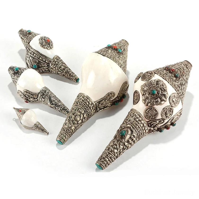 Shankha conch shell buddhist symbol for feng shui home prosperity abundance and spiritual blessing