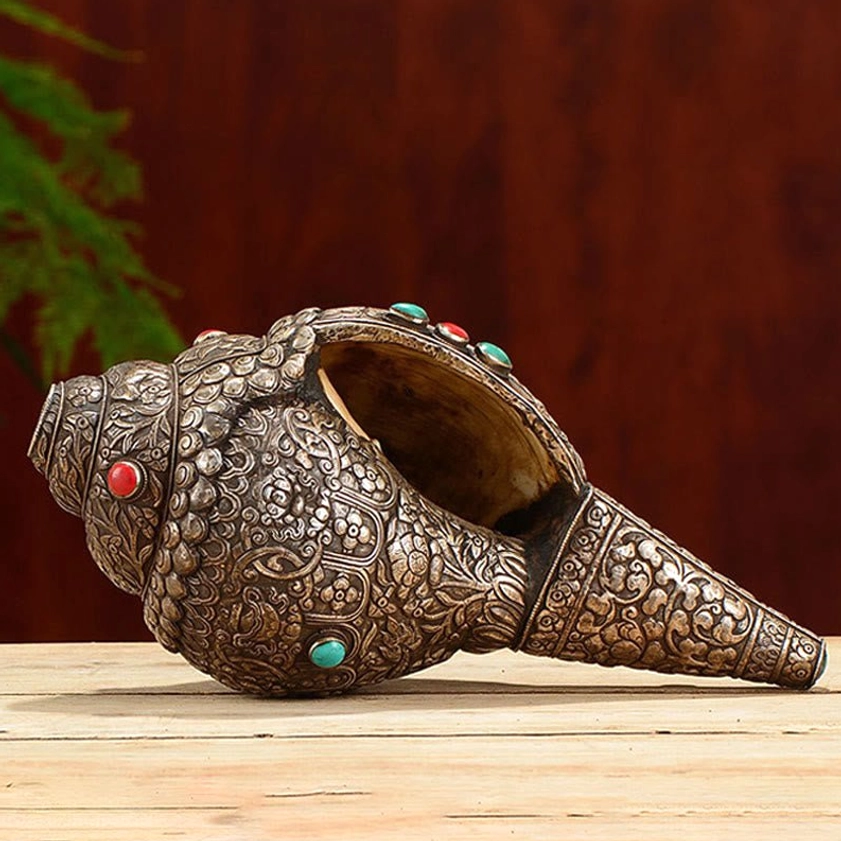 Open-mouth Shankha conch shell displaying inner cavity and exterior relief carvings with turquoise inlays