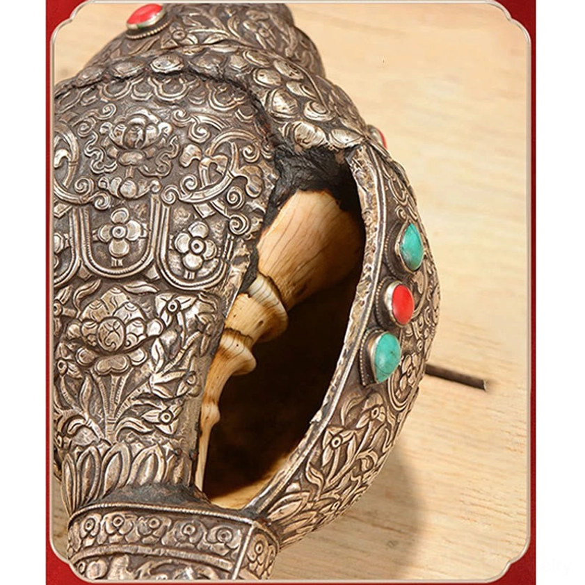 Side detail view of open Shankha conch shell revealing inner structure and fine carved Buddhist iconography