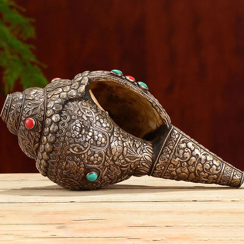 Natural Shankha conch shell with turquoise inlays and sterling silver plating for chakra balancing