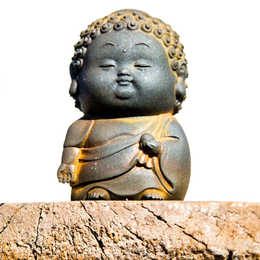 Sitting Buddha figurine in meditative pose on wooden surface representing inner wisdom and contemplation