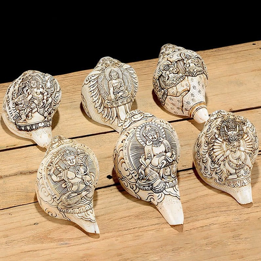 Six Hand-Carved Buddhist Deity Shankha Conch Shells with Intricate Engravings Displayed on Wooden Table