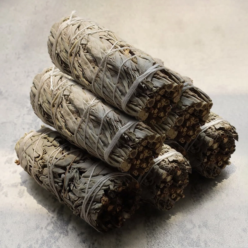 Six white sage smudge sticks bundle premium pack for daily rituals and space purification