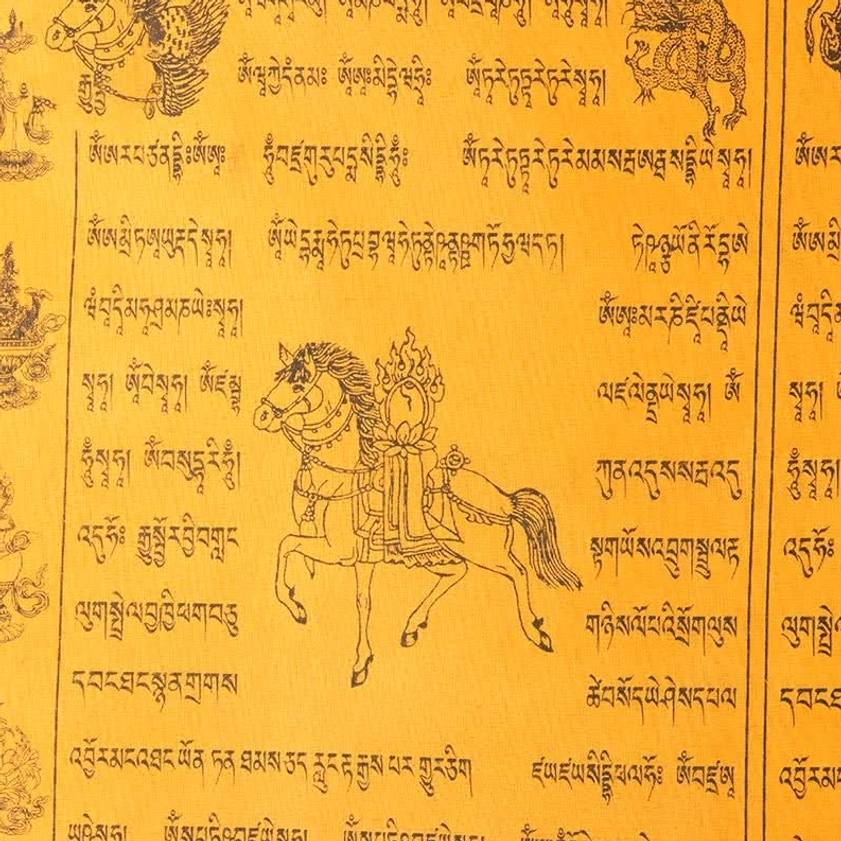 Close-up macro view of Buddhist windhorse prayer flag showing intricate printed details and protection symbols